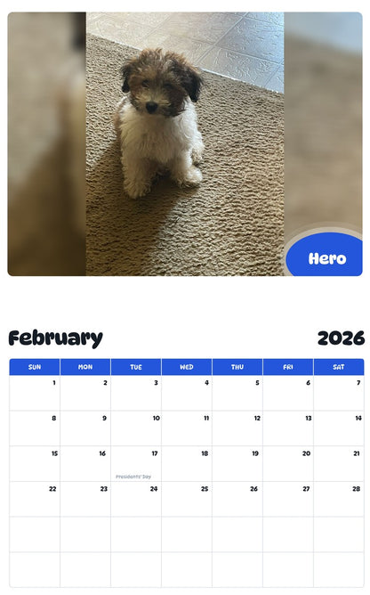October 2025 - September 2026 Hero - Pawidols Pet Calendar