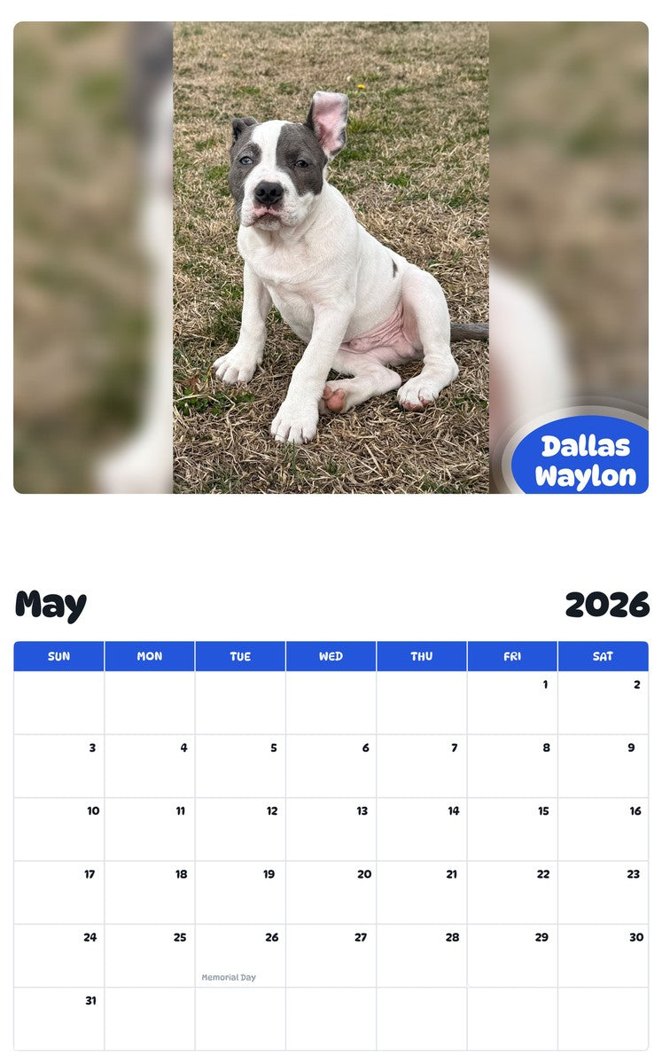 2026 - 2027 Dallas Waylon - Pawidols Pet Calendar