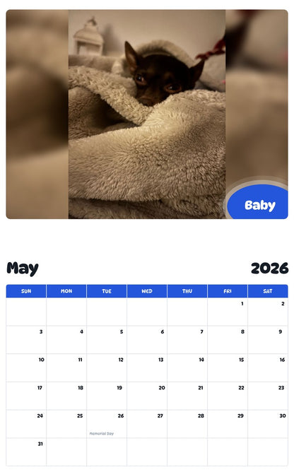 2026 - 2027 Baby - Pawidols Pet Calendar