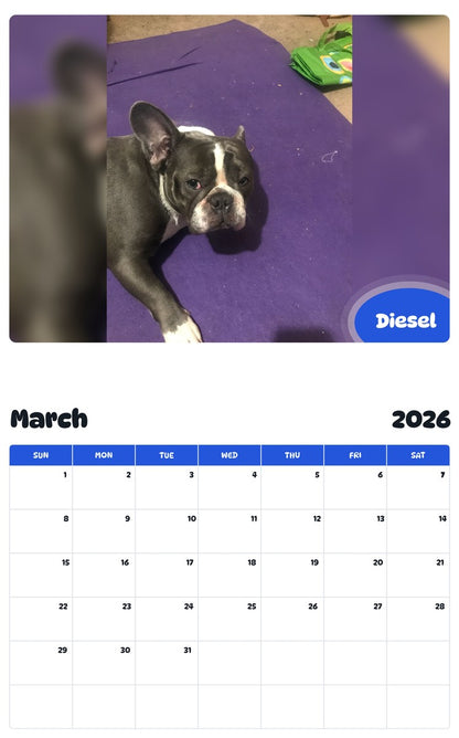November 2025 - October 2026 Diesel - Pawidols Pet Calendar