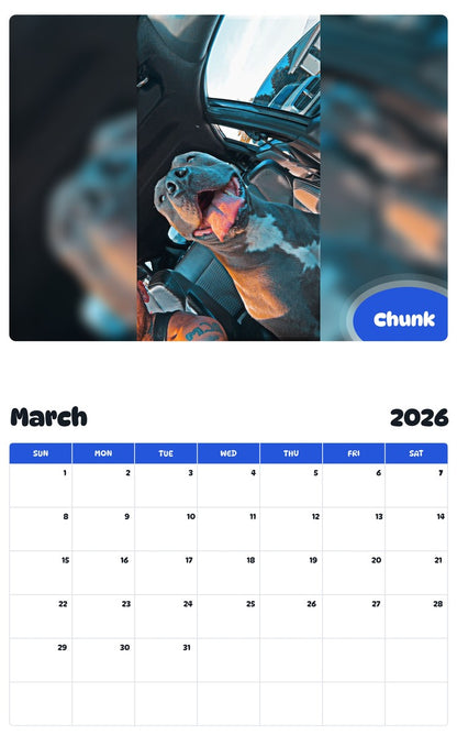 November 2025 - October 2026 Chunk - Pawidols Pet Calendar