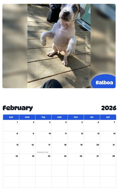 October 2025 - September 2026 Balboa - Pawidols Pet Calendar