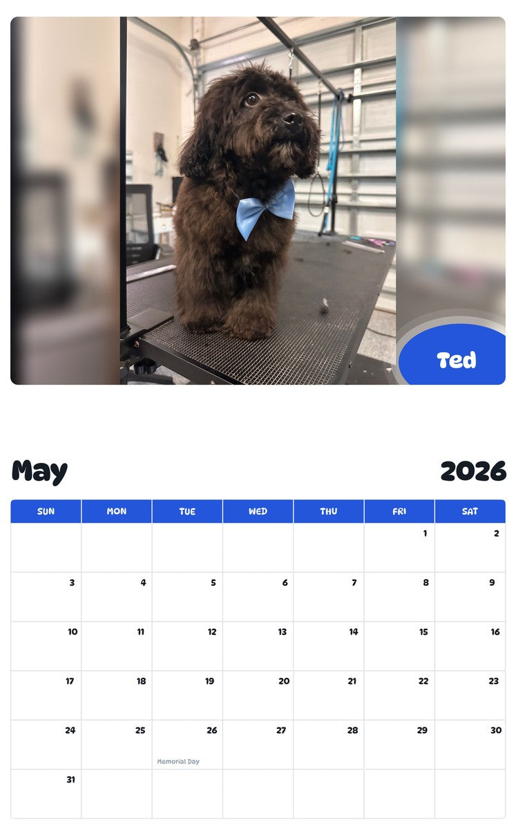 2026 - 2027 Ted - Pawidols Pet Calendar