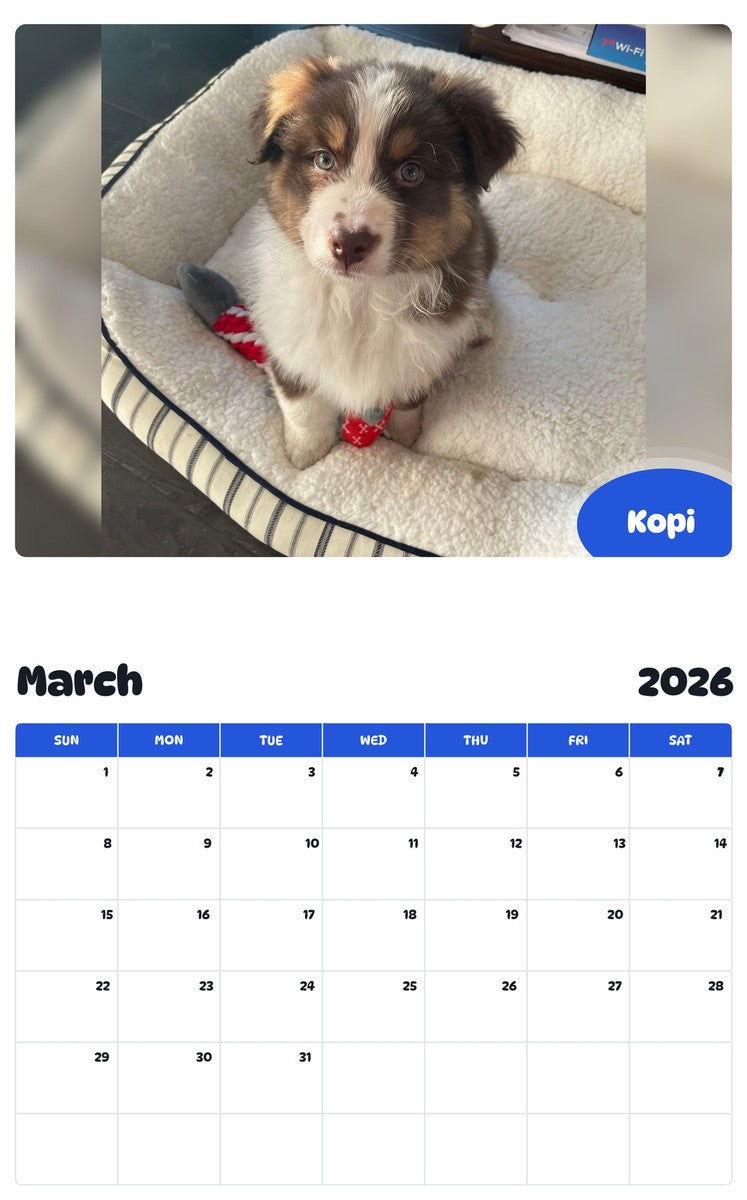 November 2025 - October 2026 Kopi - Pawidols Pet Calendar