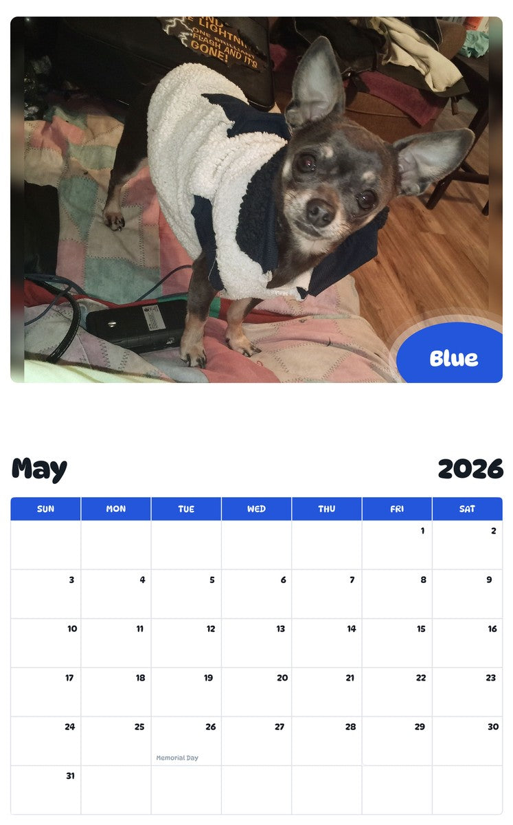 2026 - 2027 Blue - Pawidols Pet Calendar