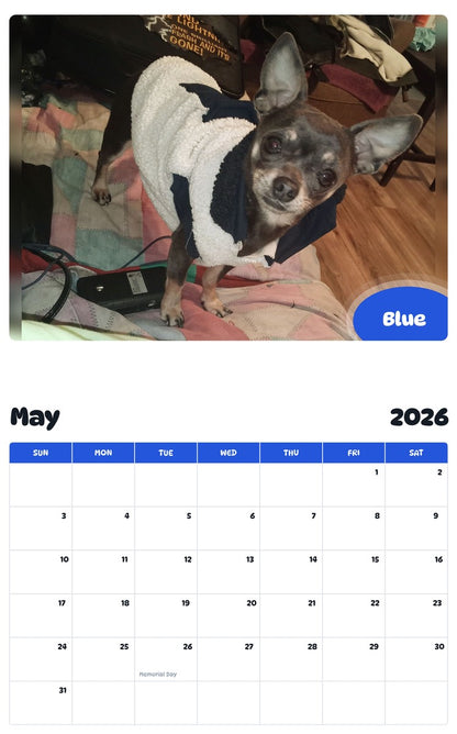 2026 - 2027 Blue - Pawidols Pet Calendar