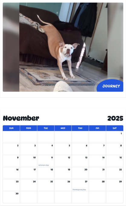 July 2025 - June 2026 Journey - Pawidols Pet Calendar