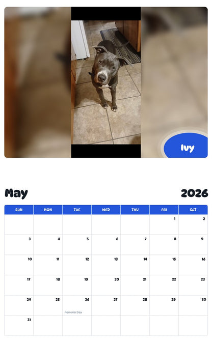 2026 - 2027 Ivy - Pawidols Pet Calendar