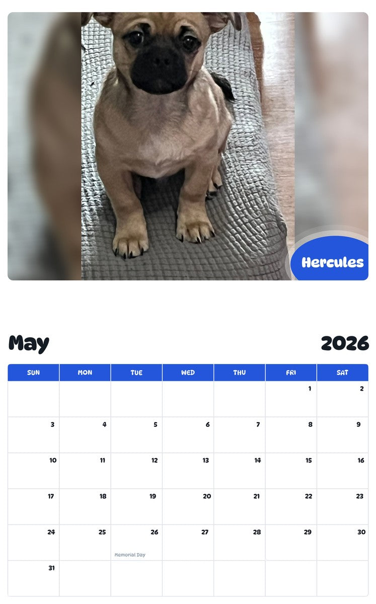 2026 - 2027 Hercules - Pawidols Pet Calendar