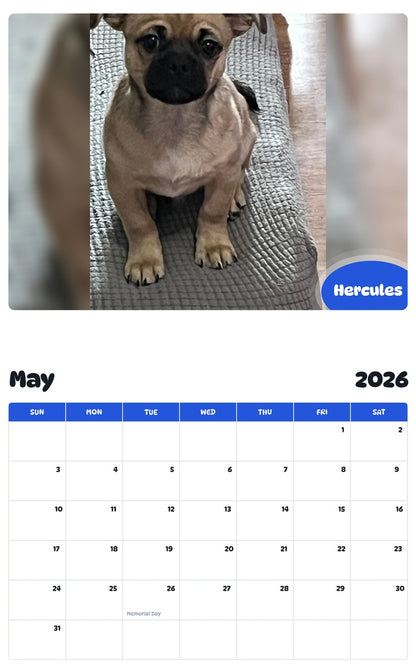 2026 - 2027 Hercules - Pawidols Pet Calendar