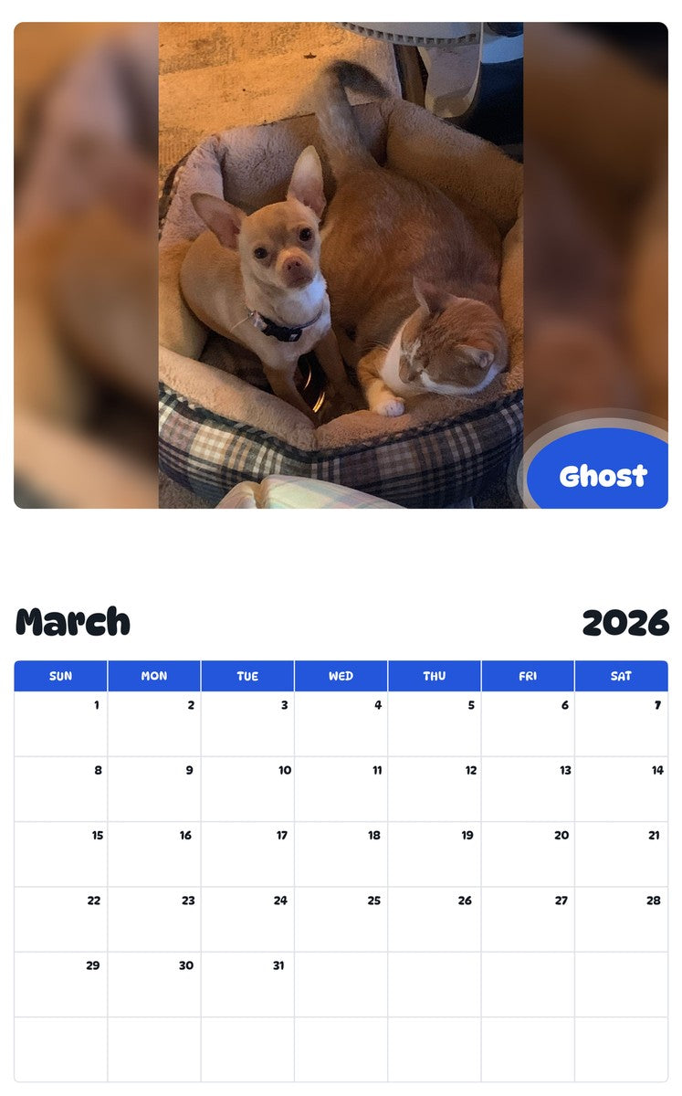 November 2025 - October 2026 Ghost - Pawidols Pet Calendar