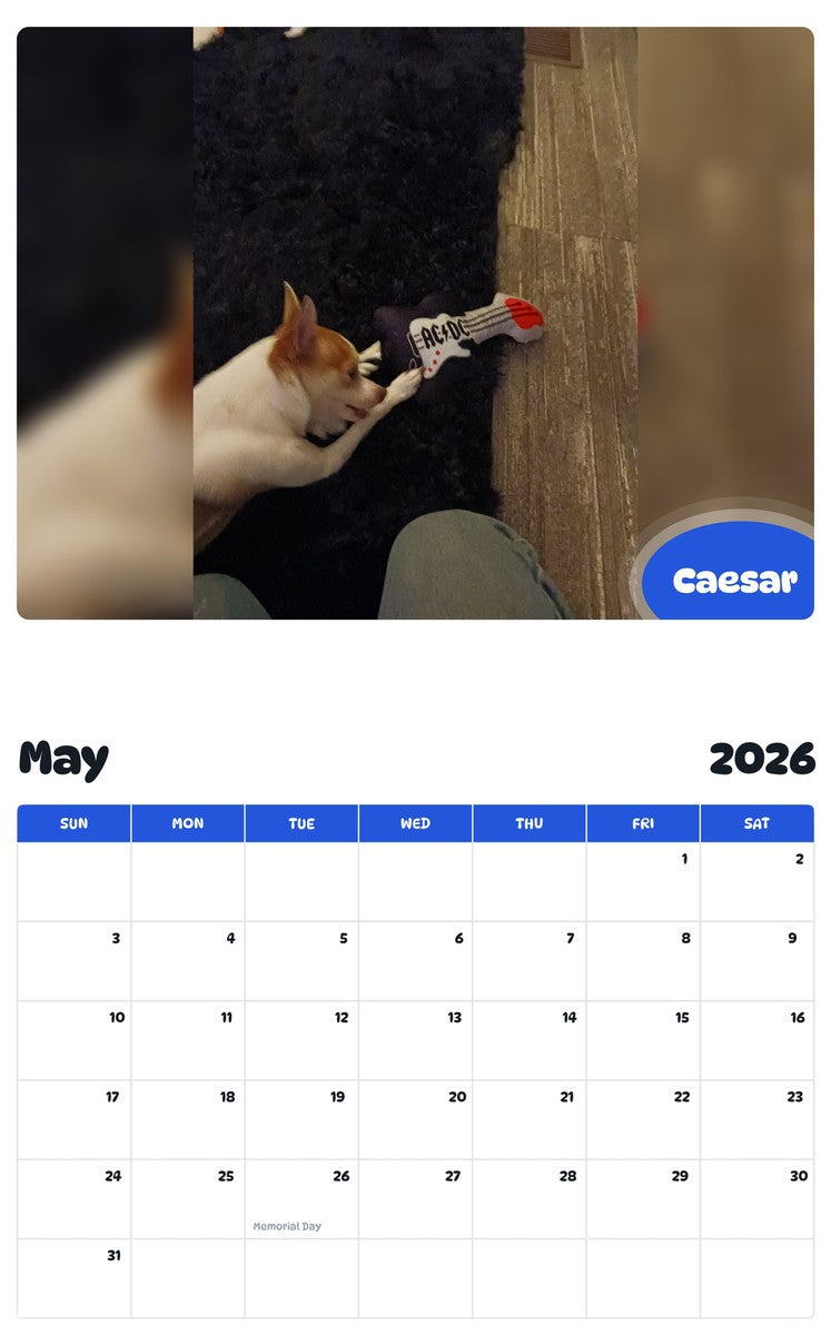 2026 - 2027 Caesar - Pawidols Pet Calendar