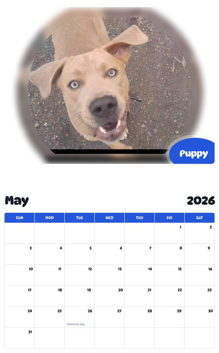 2026 - 2027 Puppy - Pawidols Pet Calendar