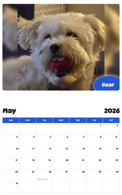 2026 - 2027 Bear - Pawidols Pet Calendar
