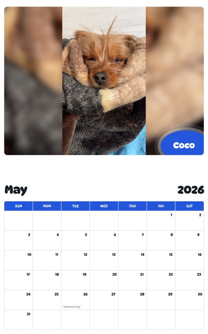 2026 - 2027 Coco - Pawidols Pet Calendar