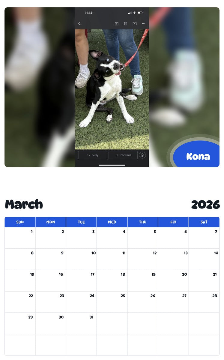 November 2025 - October 2026 Kona - Pawidols Pet Calendar