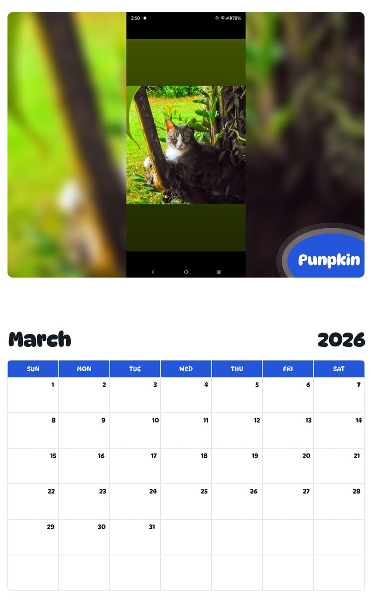 November 2025 - October 2026 Punpkin - Pawidols Pet Calendar