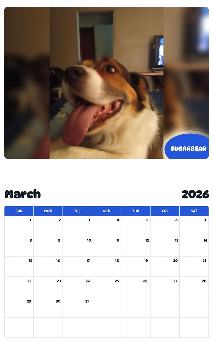 November 2025 - October 2026 SUGARBEAR - Pawidols Pet Calendar
