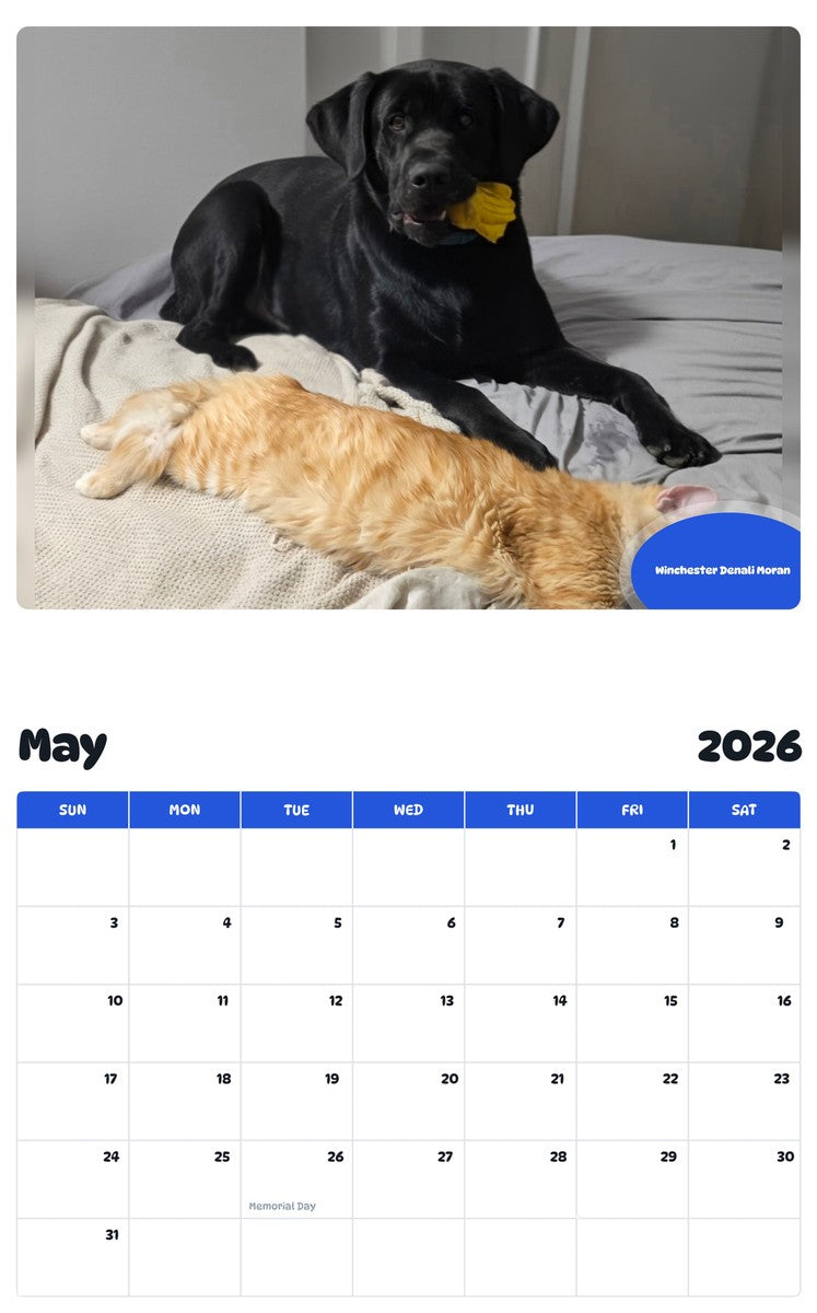 2026 - 2027 Winchester Denali Moran - Pawidols Pet Calendar