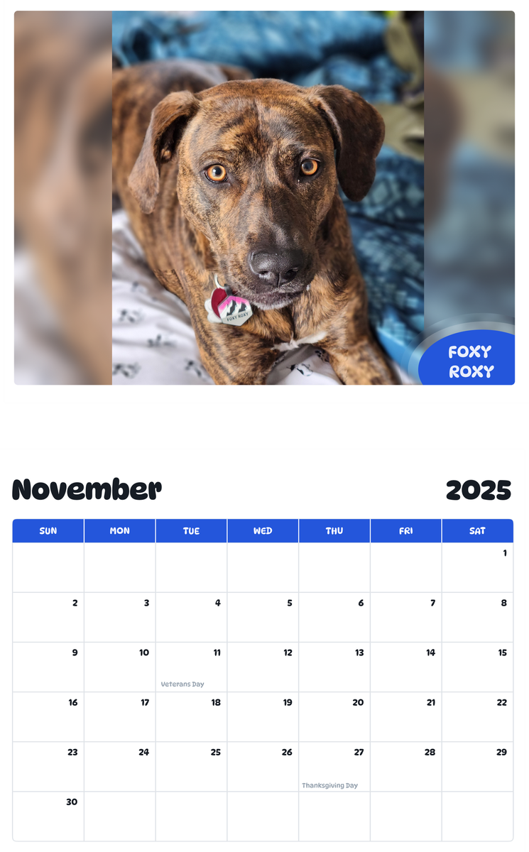 July 2025 - June 2026 Foxy Roxy - Pawidols Pet Calendar