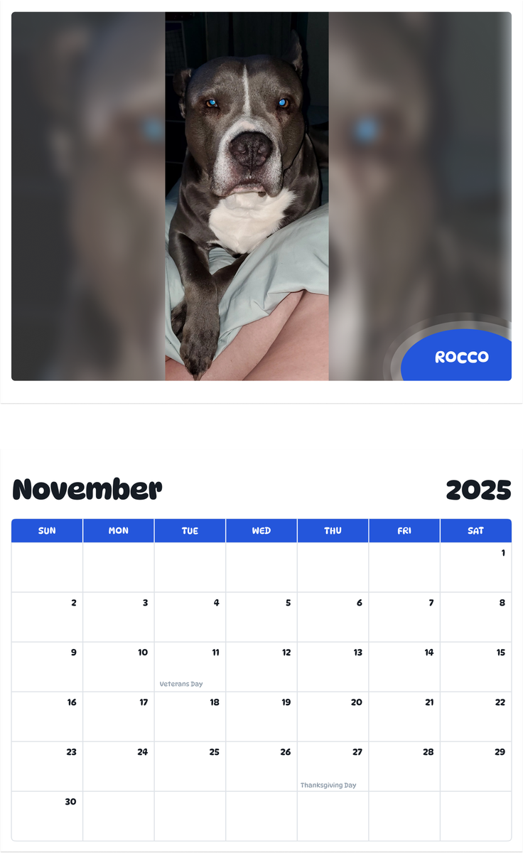 July 2025 - June 2026 Rocco - Pawidols Pet Calendar