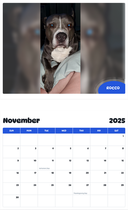 July 2025 - June 2026 Rocco - Pawidols Pet Calendar