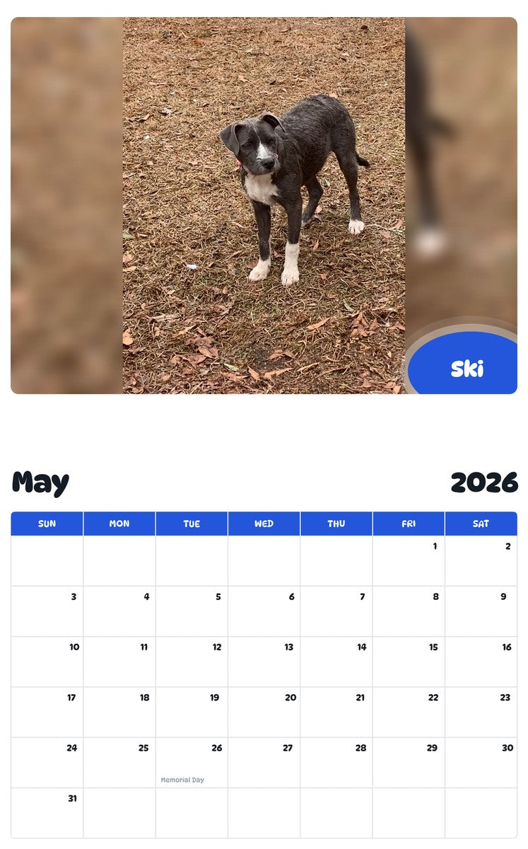 2026 - 2027 Ski - Pawidols Pet Calendar