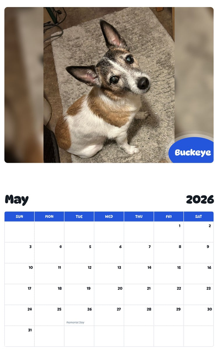 2026 - 2027 Buckeye - Pawidols Pet Calendar