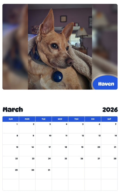 November 2025 - October 2026 Haven - Pawidols Pet Calendar