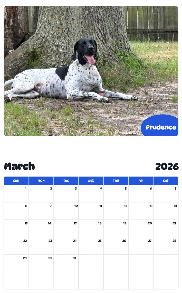 November 2025 - October 2026 Prudence - Pawidols Pet Calendar