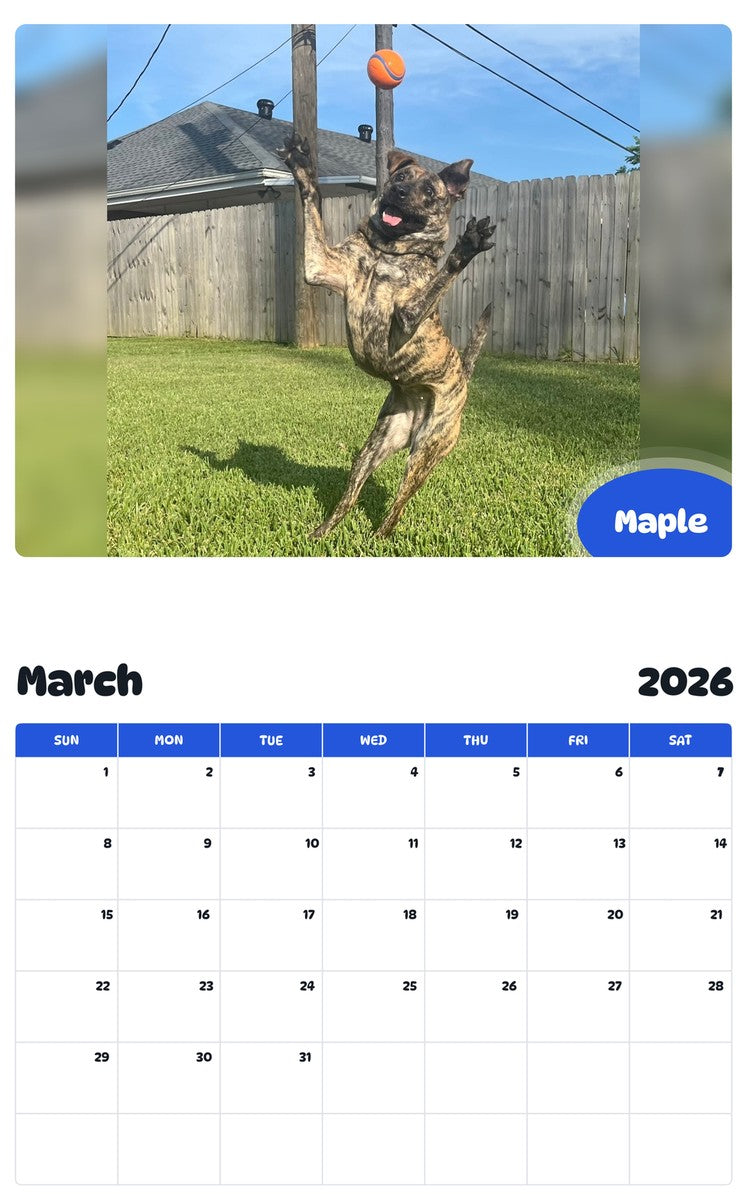 November 2025 - October 2026 Maple - Pawidols Pet Calendar