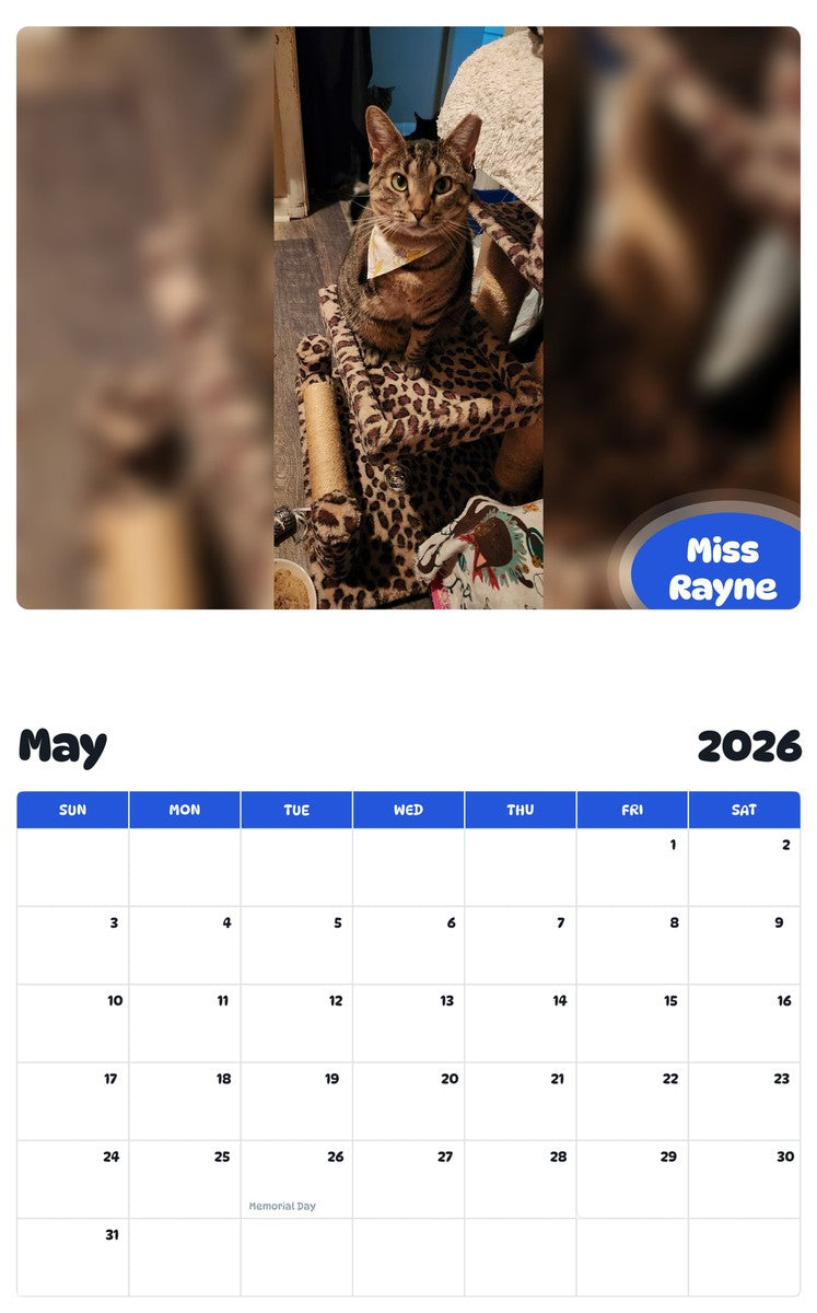 2026 - 2027 Miss Rayne - Pawidols Pet Calendar