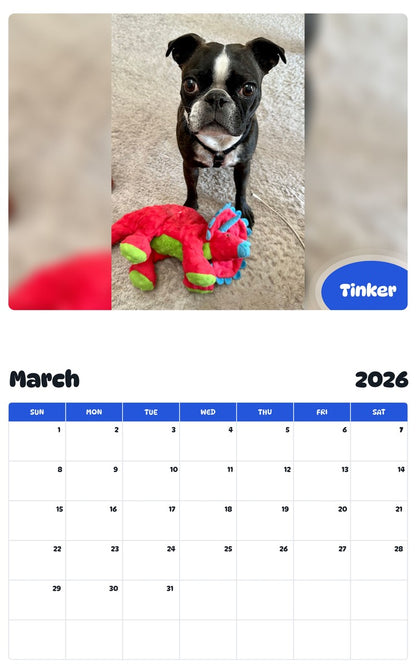 November 2025 - October 2026 Tinker - Pawidols Pet Calendar