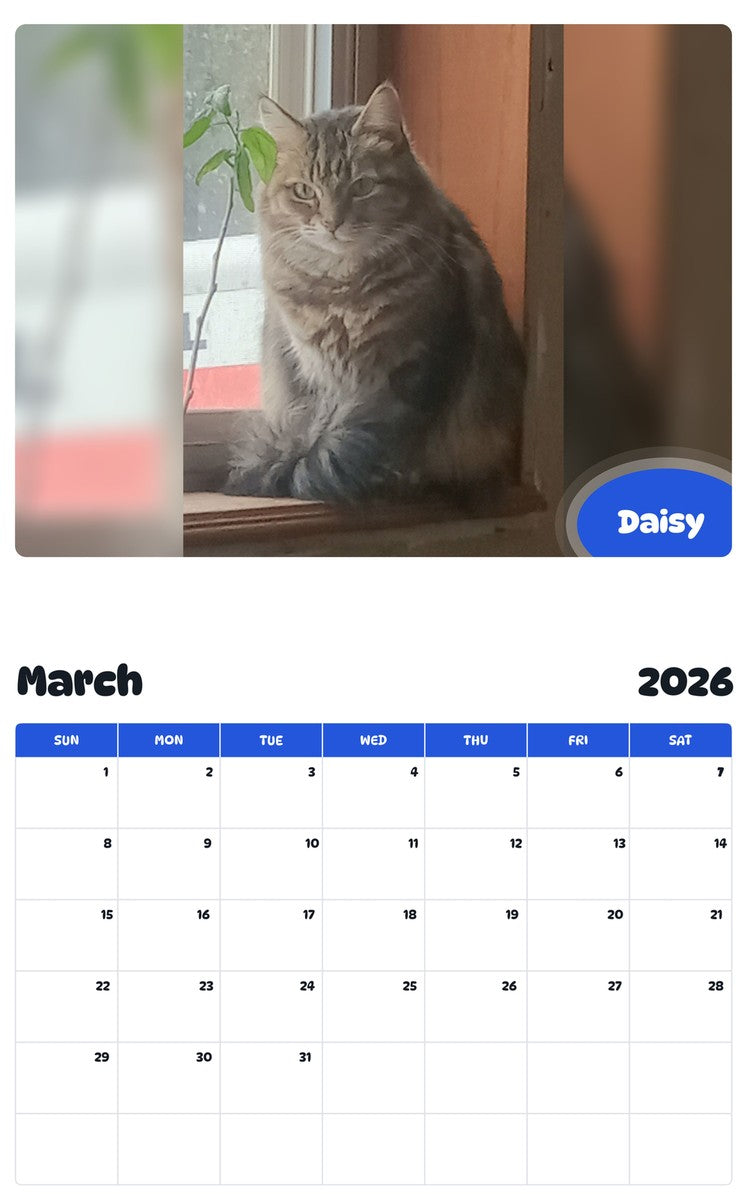 November 2025 - October 2026 Daisy - Pawidols Pet Calendar