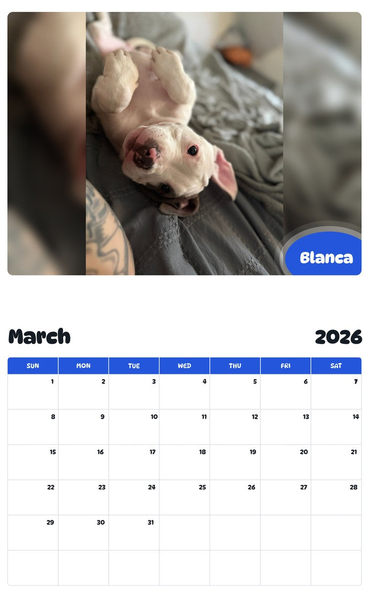 November 2025 - October 2026 Blanca - Pawidols Pet Calendar