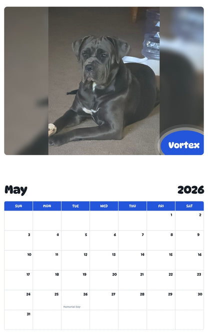 2026 - 2027 Vortex - Pawidols Pet Calendar