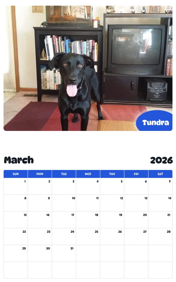 November 2025 - October 2026 Tundra - Pawidols Pet Calendar