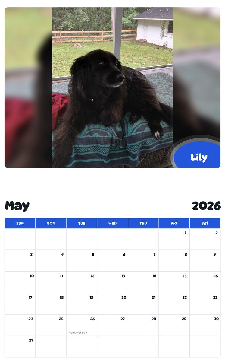 2026 - 2027 Lily - Pawidols Pet Calendar