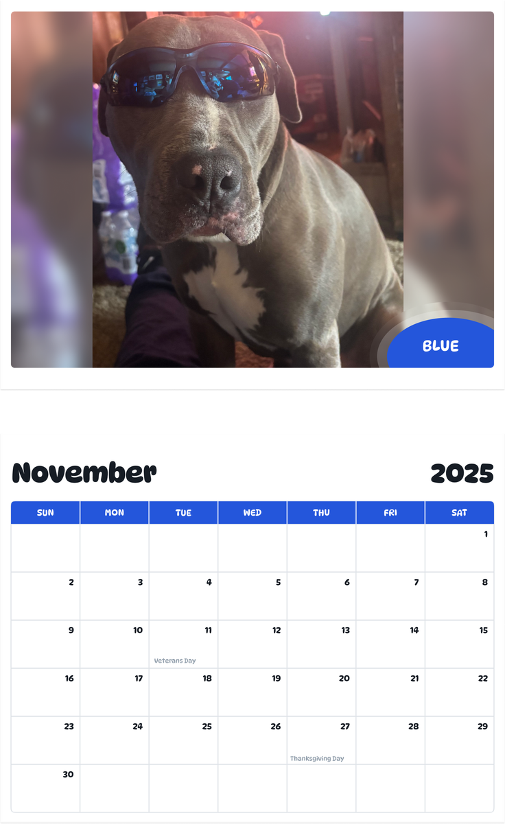 July 2025 - June 2026 Blue - Pawidols Pet Calendar