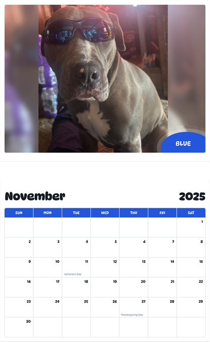 July 2025 - June 2026 Blue - Pawidols Pet Calendar
