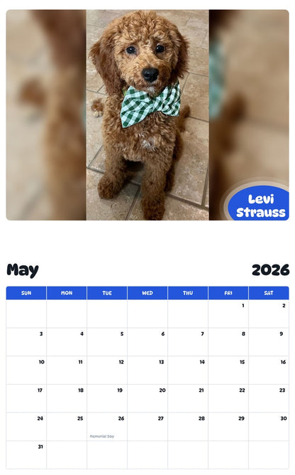 2026 - 2027 Levi Strauss - Pawidols Pet Calendar