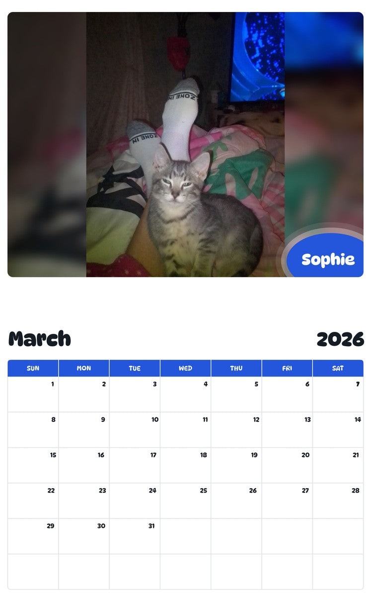 November 2025 - October 2026 Sophie - Pawidols Pet Calendar