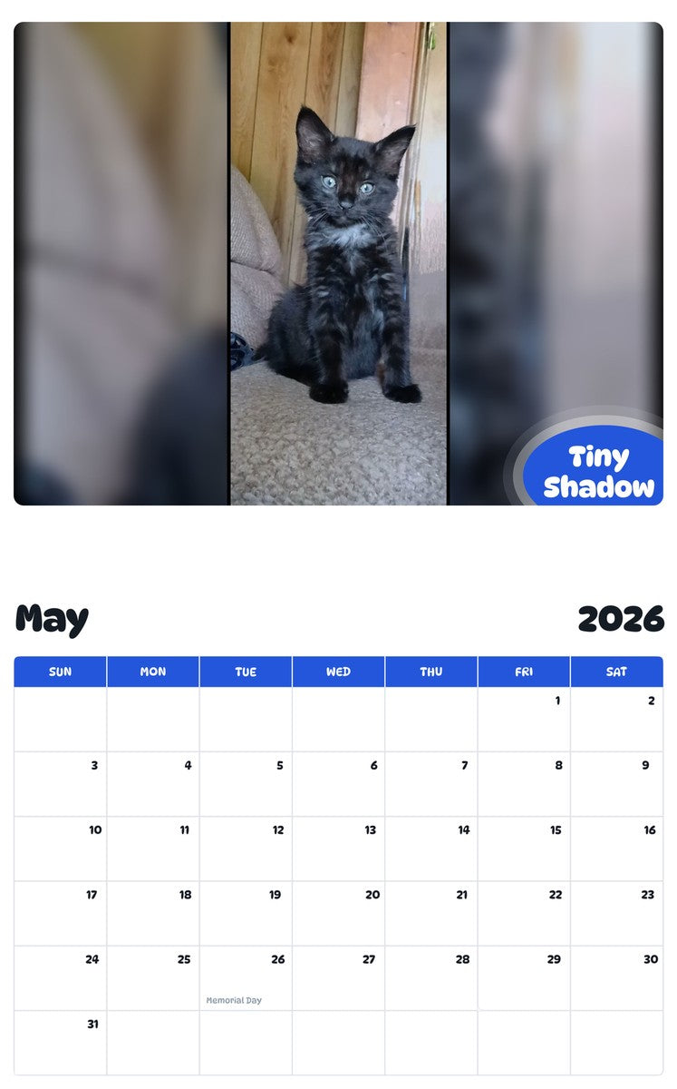 2026 - 2027 Tiny Shadow - Pawidols Pet Calendar