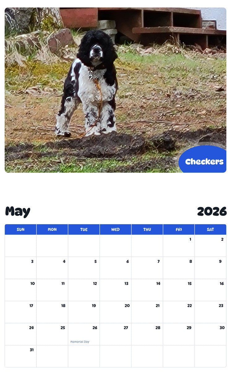 2026 - 2027 Checkers - Pawidols Pet Calendar