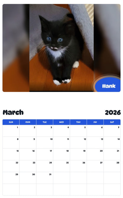 November 2025 - October 2026 Hank - Pawidols Pet Calendar
