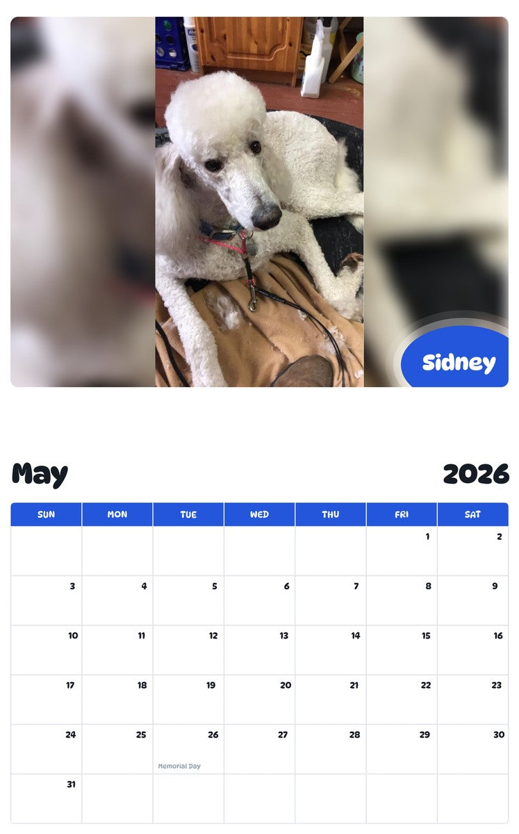 2026 - 2027 Sidney - Pawidols Pet Calendar
