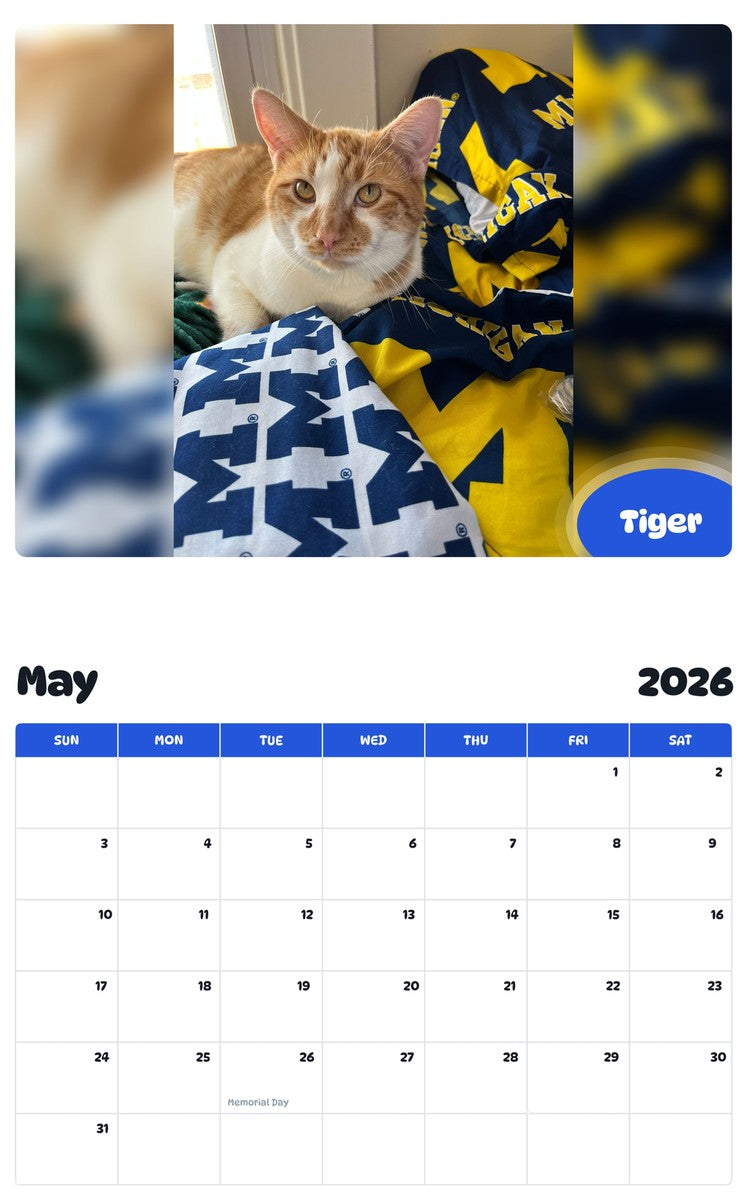 2026 - 2027 Tiger - Pawidols Pet Calendar