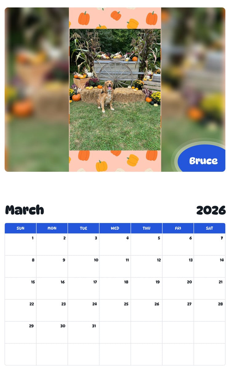 November 2025 - October 2026 Bruce - Pawidols Pet Calendar