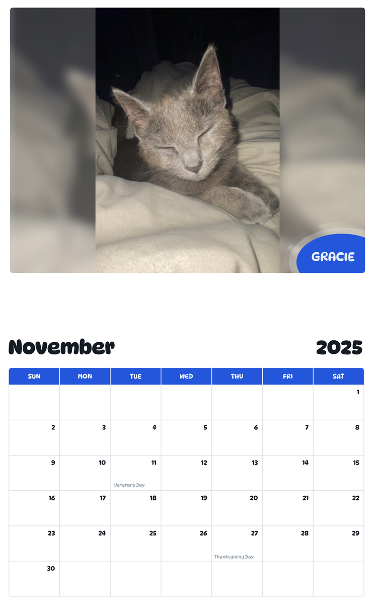 July 2025 - June 2026 Gracie - Pawidols Pet Calendar