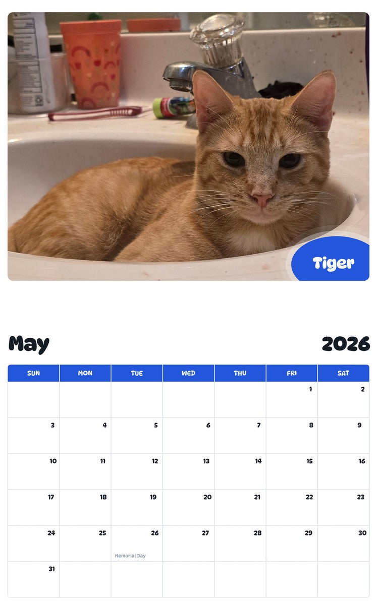 2026 - 2027 Tiger - Pawidols Pet Calendar